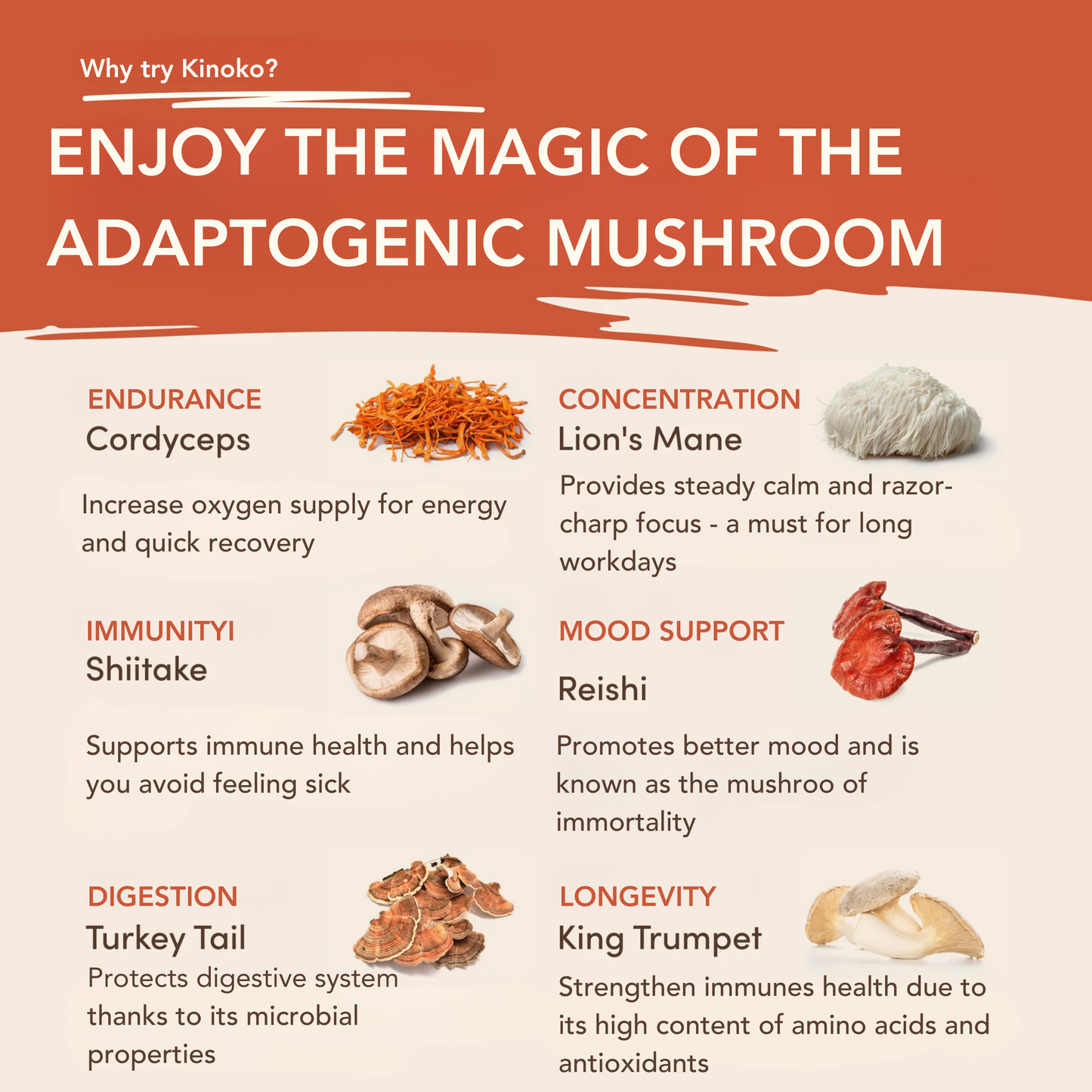 Mushroom Coffee