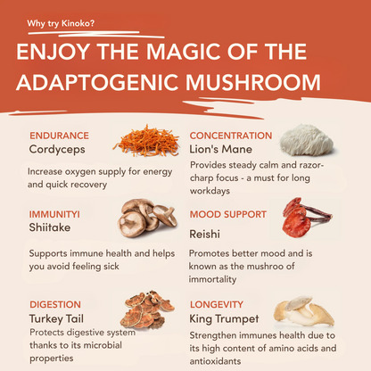 Mushroom Coffee